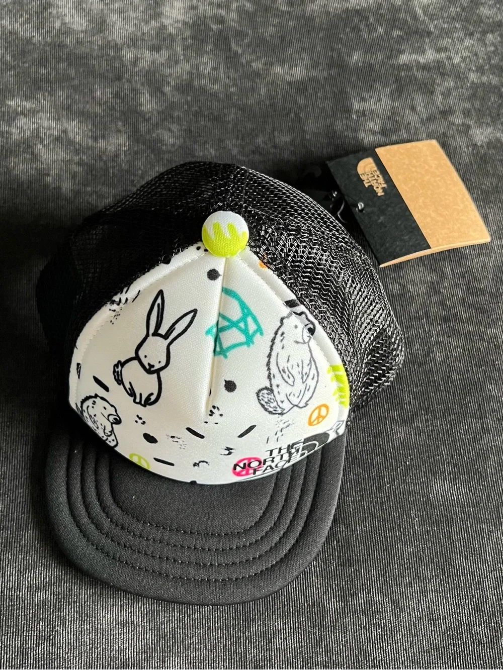 The North Face this hat